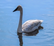 2019 03 17 Veterns MemorialPark 018